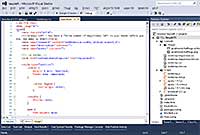 Screen shot of Microsoft Visual Studio